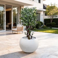 ARTIFICIAL PLANTS thumbnail 4