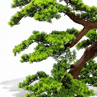 ARTIFICIAL PLANTS thumbnail 3