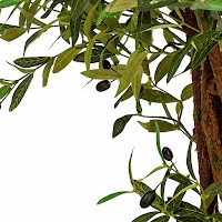 ARTIFICIAL PLANTS thumbnail 2