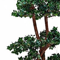 ARTIFICIAL PLANTS thumbnail 2