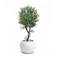 ARTIFICIAL PLANTS thumbnail 1