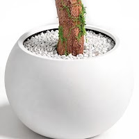 ARTIFICIAL PLANTS thumbnail 3