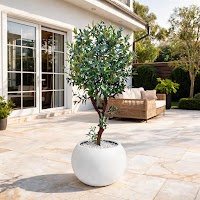 ARTIFICIAL PLANTS thumbnail 4