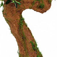 BONSAI ARTIFICIAL TREE thumbnail 2