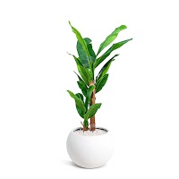Artificial Banana Leaves Tree thumbnail 4