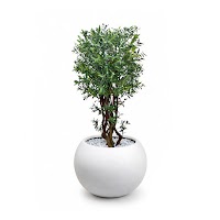 ARTIFICIAL PLANTS thumbnail 3